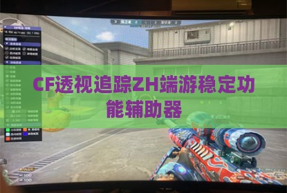 CF透视追踪ZH端游稳定功能辅助器